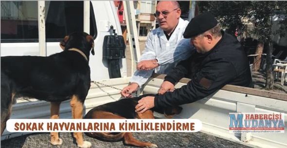 SOKAK HAYVANLARINA KMLKLENDRME